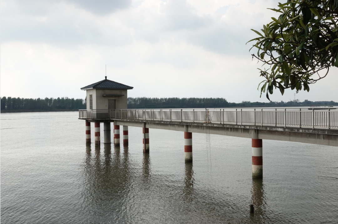 江苏百年水文站_镇江潮位站历史价值_镇江历年降水数据对比