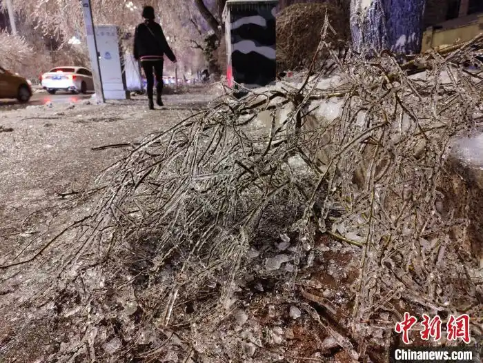 哈尔滨历年气温变化对比_黑龙江大暴雪_黑龙江雨雪冰冻灾害