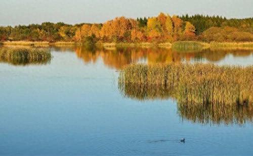 双鸭山旅游攻略_七星峰国家森林公园_双鸭山本地气候特征详解