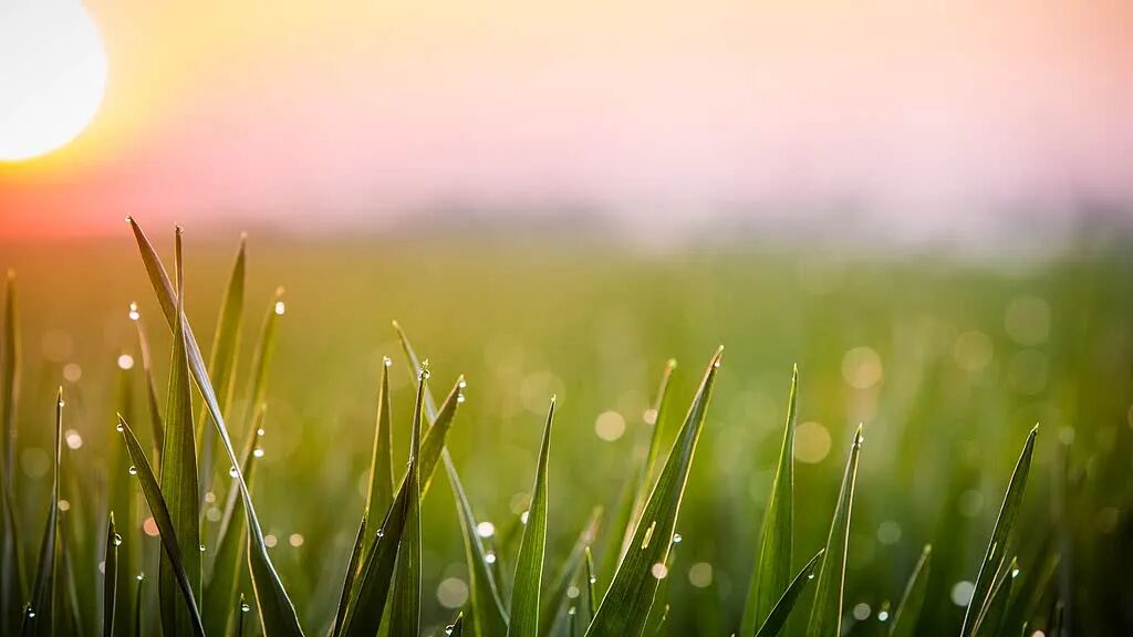 河南气候变暖趋势分析_河南雨季降水量增多_开封极端天气常年分布规律