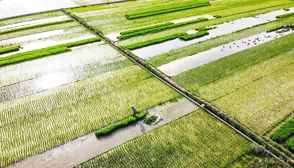 河南雨季降水量增多_河南气候变暖趋势分析_开封极端天气常年分布规律