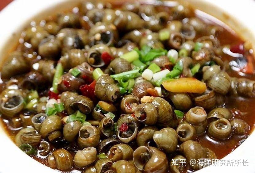 舟山历年降水数据对比_舟山旅游攻略_舟山海鲜酒店预订