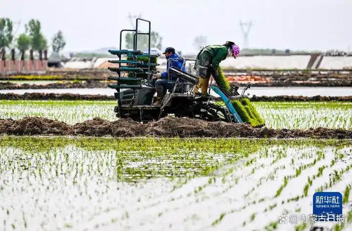 兴安盟常年风向变化规律_兴安岭自然风光_兴安盟旅游攻略