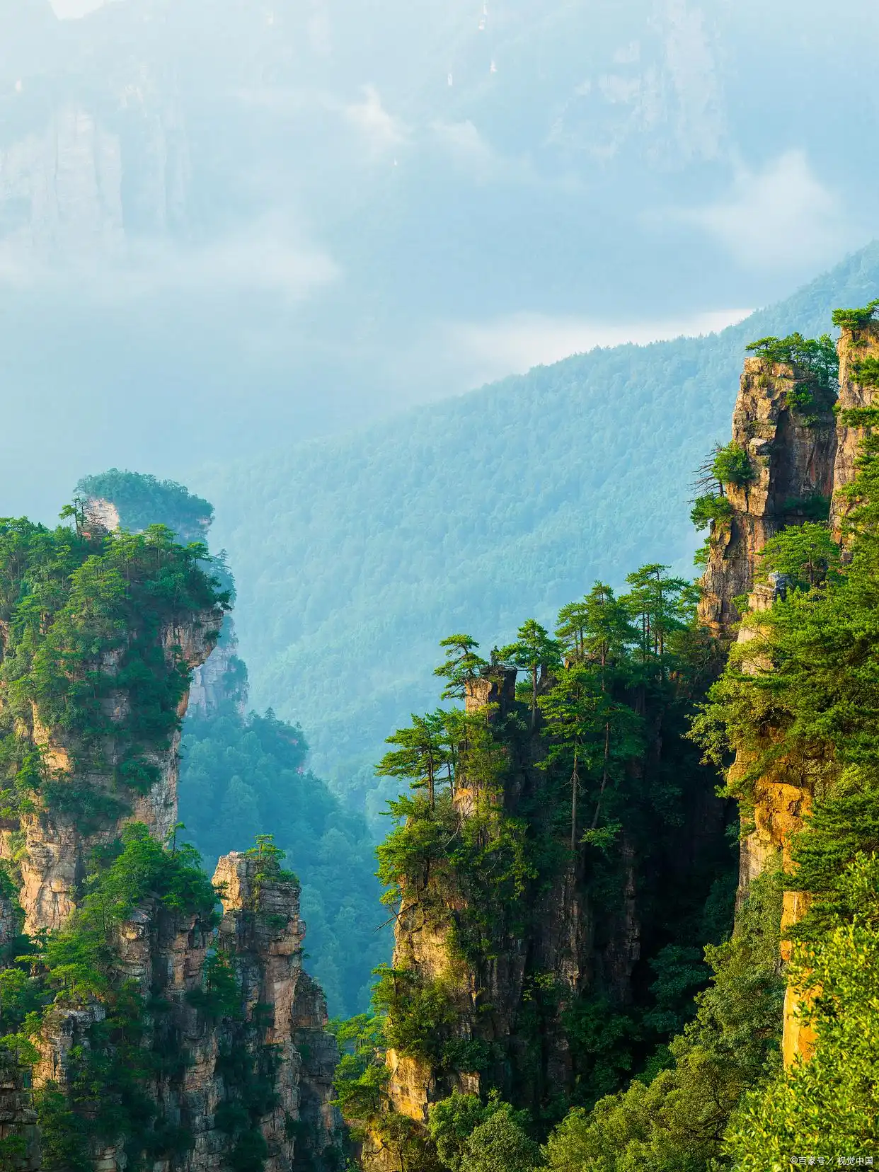 张家界冬季气温_张家界山上冷吗_张家界本地气候特征详解