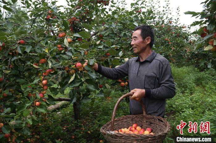 北京对口帮扶兴安盟扶贫_兴安盟历年气温变化对比_内蒙古兴安盟减贫协作