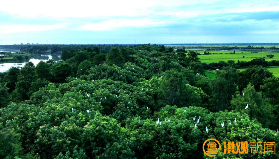 南昌美丽河湖_南昌生态文明_南昌常年气候变化规律