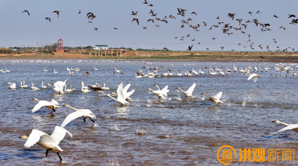南昌常年气候变化规律_南昌美丽河湖_南昌生态文明