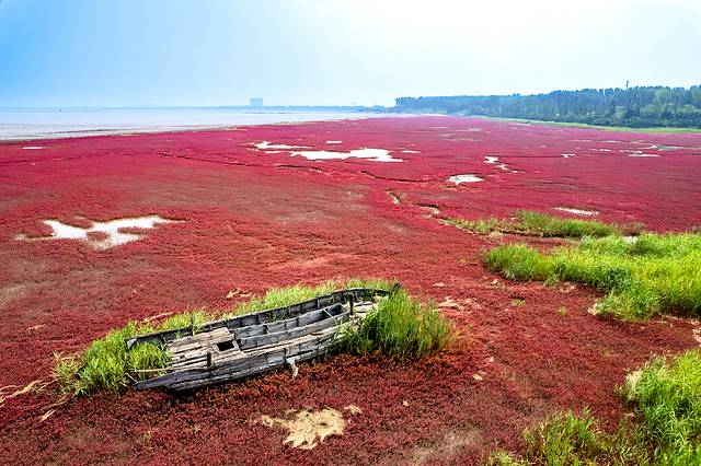 辽宁团山国家级海洋公园旅游攻略_营口本地气候特征详解_营口西炮台遗址旅游攻略