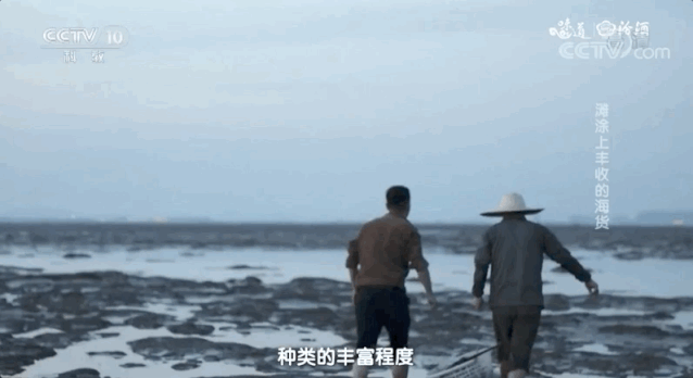 丹东旅游攻略_丹东最佳观赏地_丹东常年降水分布特征