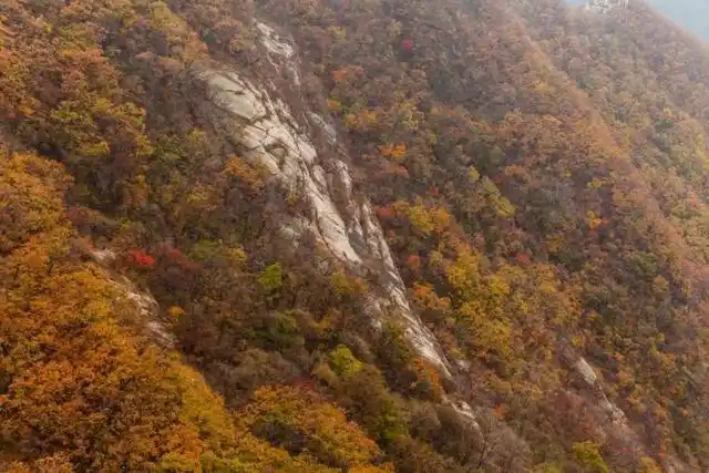 丹东最佳观赏地_丹东常年降水分布特征_丹东旅游攻略